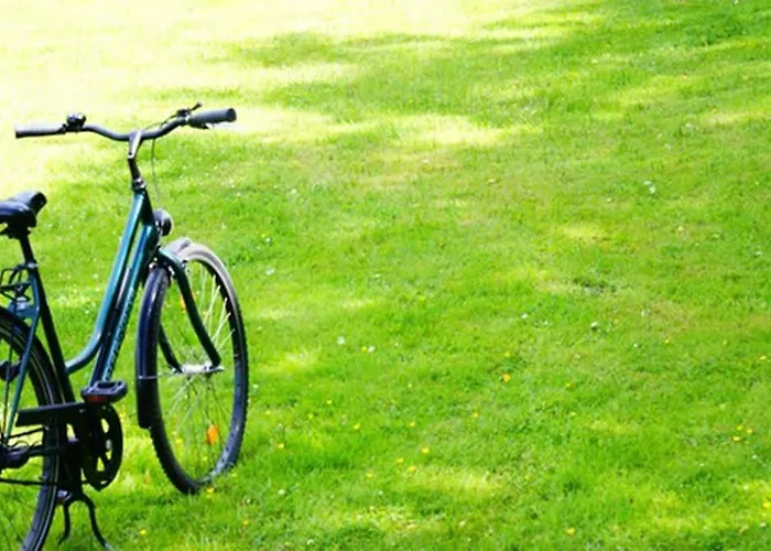 Отель Amedia Elbpromenade, Trademark Collection By Wyndham 3*